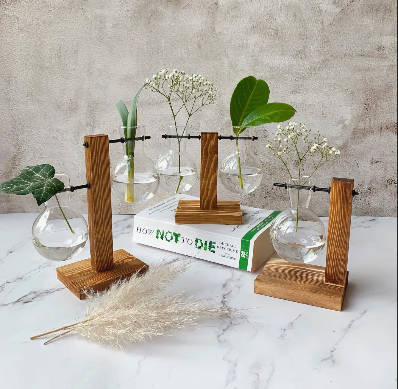 Single Glass bulb Planter with Wooden stand