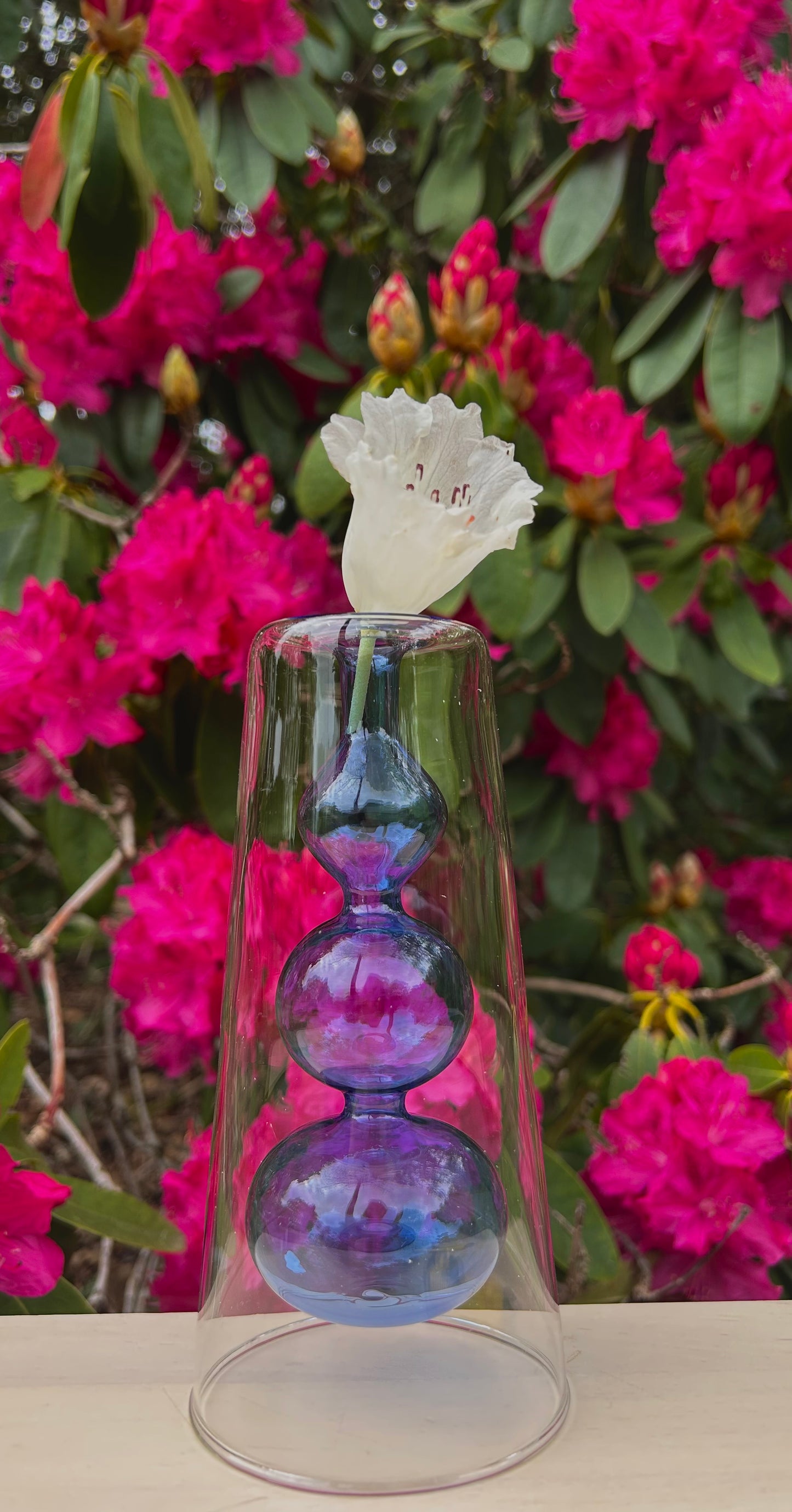 Hydrophoic Transparent Glass Vase