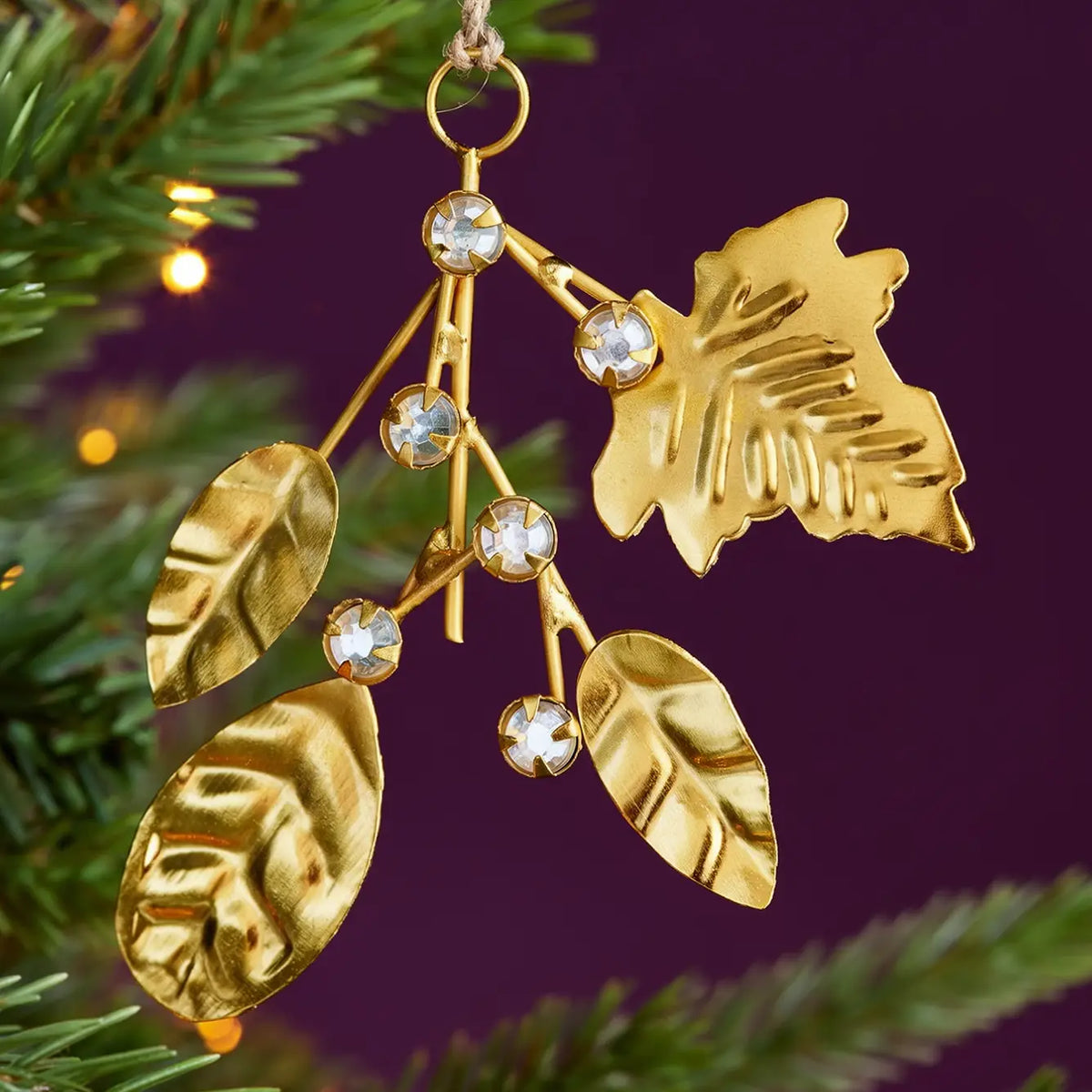 Gold Holly